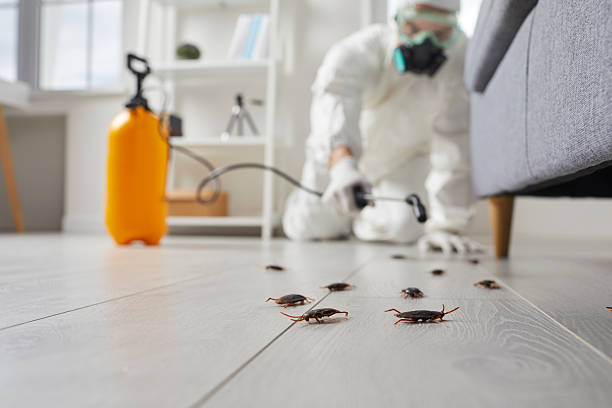 Post-Treatment Bed Bug Interceptor Monitoring in Meiners Oaks