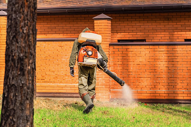 Bed Bug Clearance Verification and Documentation in Meiners Oaks